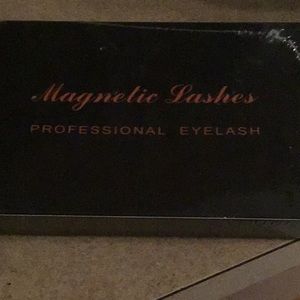 Magnetic lashes professional eyelash